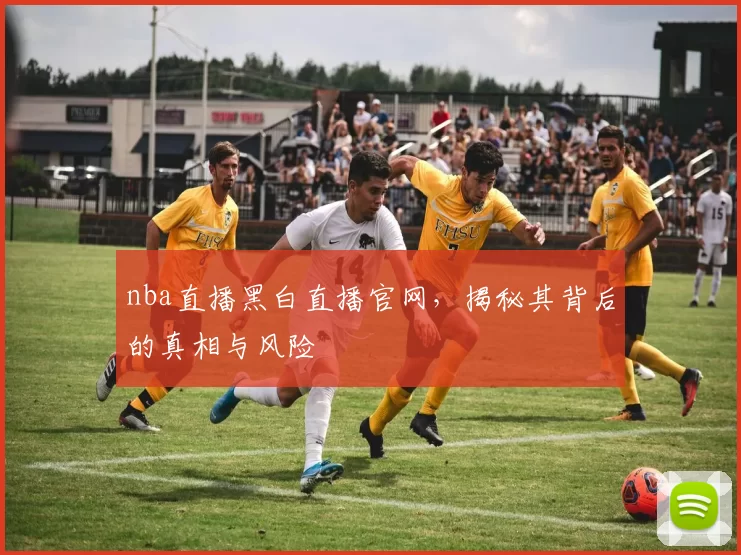 nba直播黑白直播官网，揭秘其背后的真相与风险
