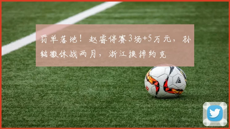 罚单落地！赵睿停赛3场+5万元，孙铭徽休战两月，浙江换掉约克