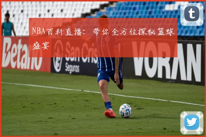 NBA百科直播：带你全方位探秘篮球盛宴