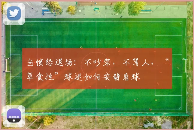当愤怒退场：不吵架，不骂人，“草食性”球迷如何安静看球