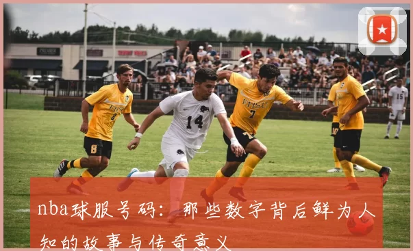 nba球服号码：那些数字背后鲜为人知的故事与传奇意义