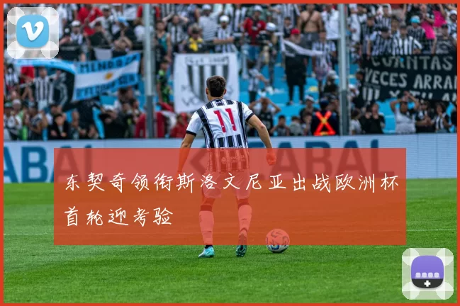 东契奇领衔斯洛文尼亚出战欧洲杯首轮迎考验