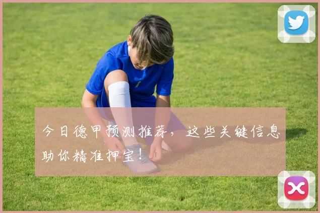 今日德甲预测推荐，这些关键信息助你精准押宝！