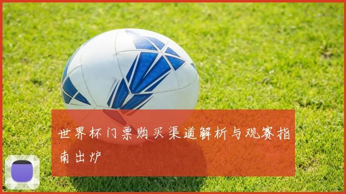 世界杯门票购买渠道解析与观赛指南出炉