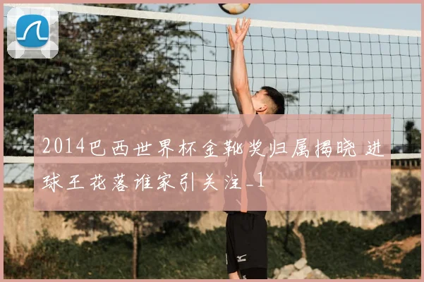 2014巴西世界杯金靴奖归属揭晓 进球王花落谁家引关注_1