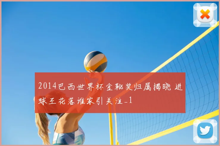 2014巴西世界杯金靴奖归属揭晓 进球王花落谁家引关注_1
